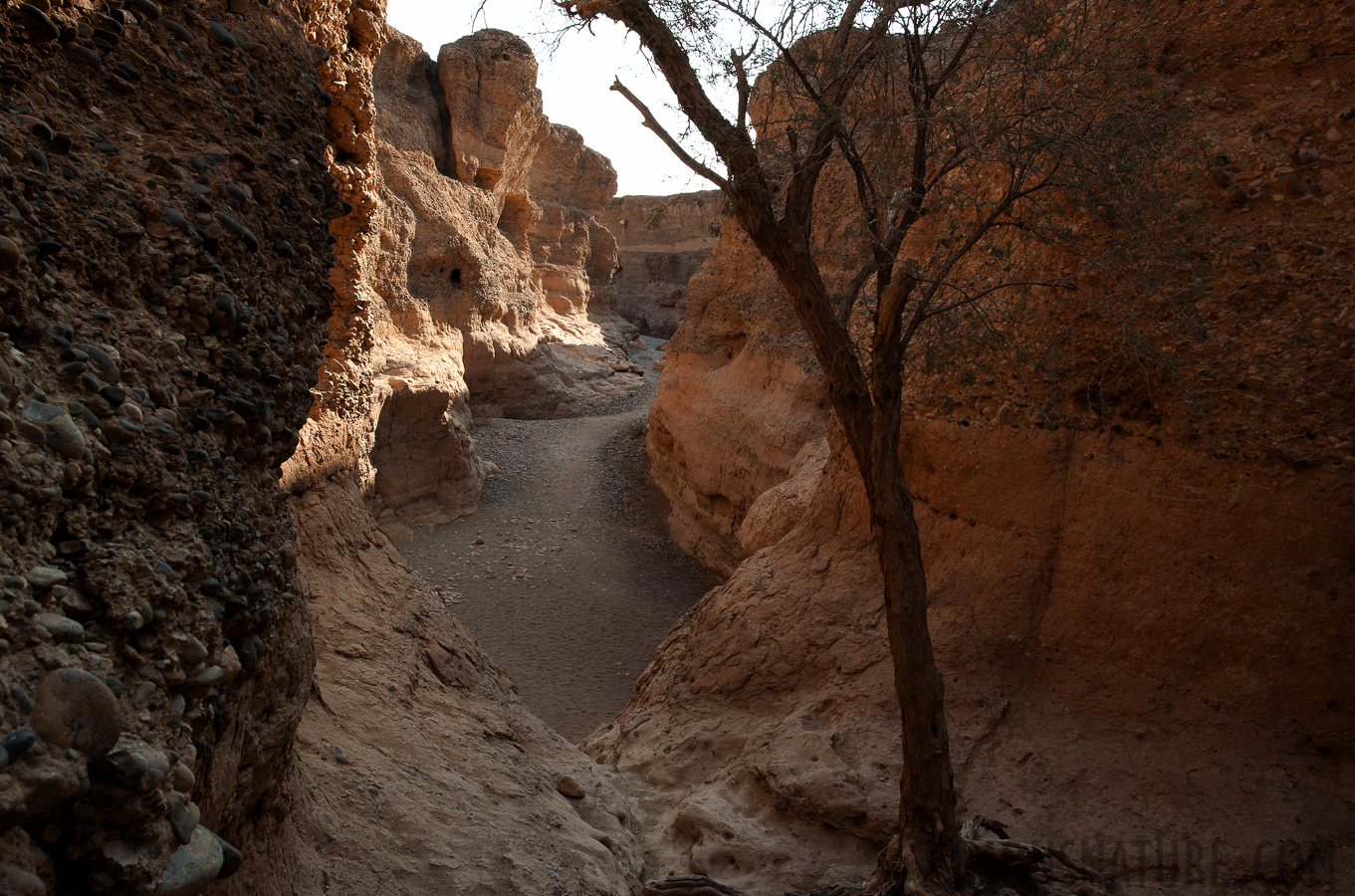 Namib-Naukluft National Park [24 mm, 1/100 sec at f / 16, ISO 400]